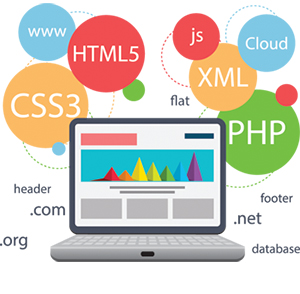 Custom Web Applications