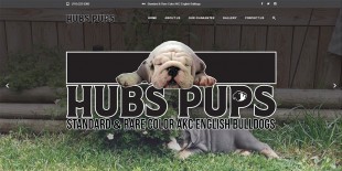 Hubs Pups v2