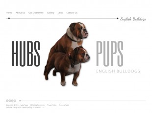 Hubs Pups